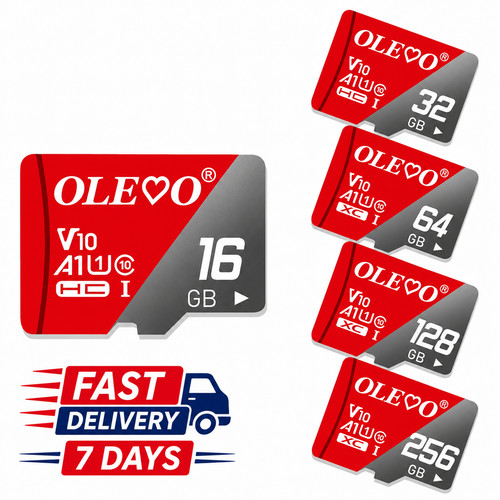 Scheda memoria micro 4gb - di,
